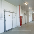 Professional Low Temperature Meat Freezer Cold Room